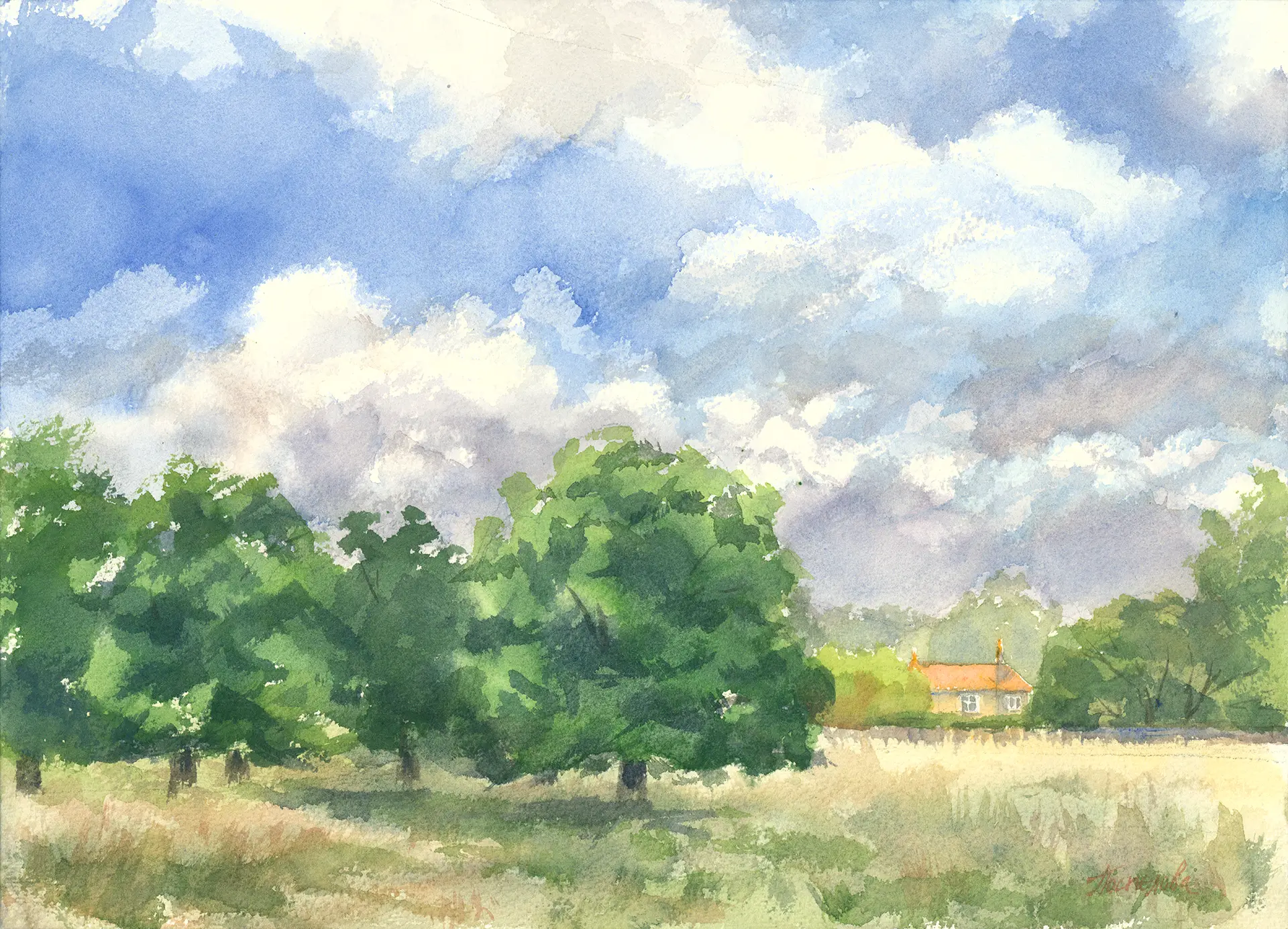 A towering May sky over Richmond Park — cumulus building above a line of oaks coming into full leaf and an open meadow, a keeper's cottage tucked into the tree-line.