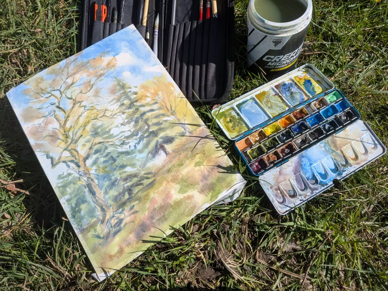 Watercolour painting by Nadia Poe