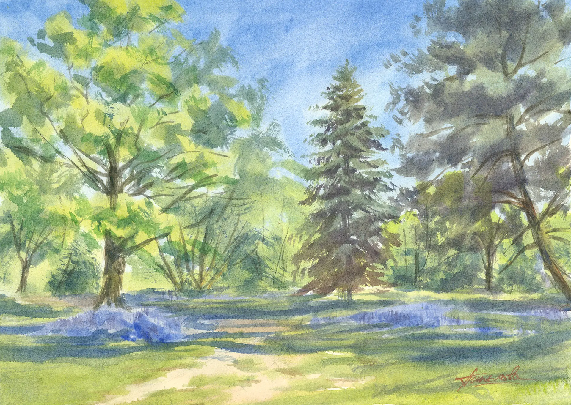 A spring clearing in Bushy Park's Woodland Gardens, bluebells washing the ground in lavender under fresh beech canopy and a dark conifer.