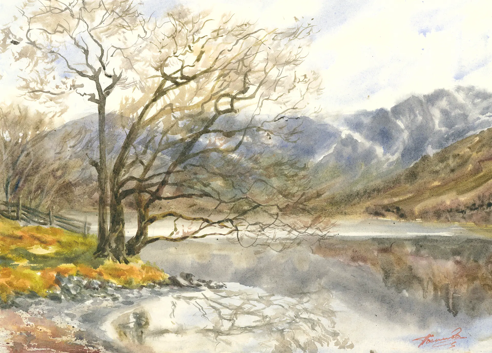 A watercolour painting of the shoreline at Buttermere in the Lake District. A leafy tree leans over glassy water, the Cumbrian fells misting softly behind, the whole scene held in the lake's reflection.