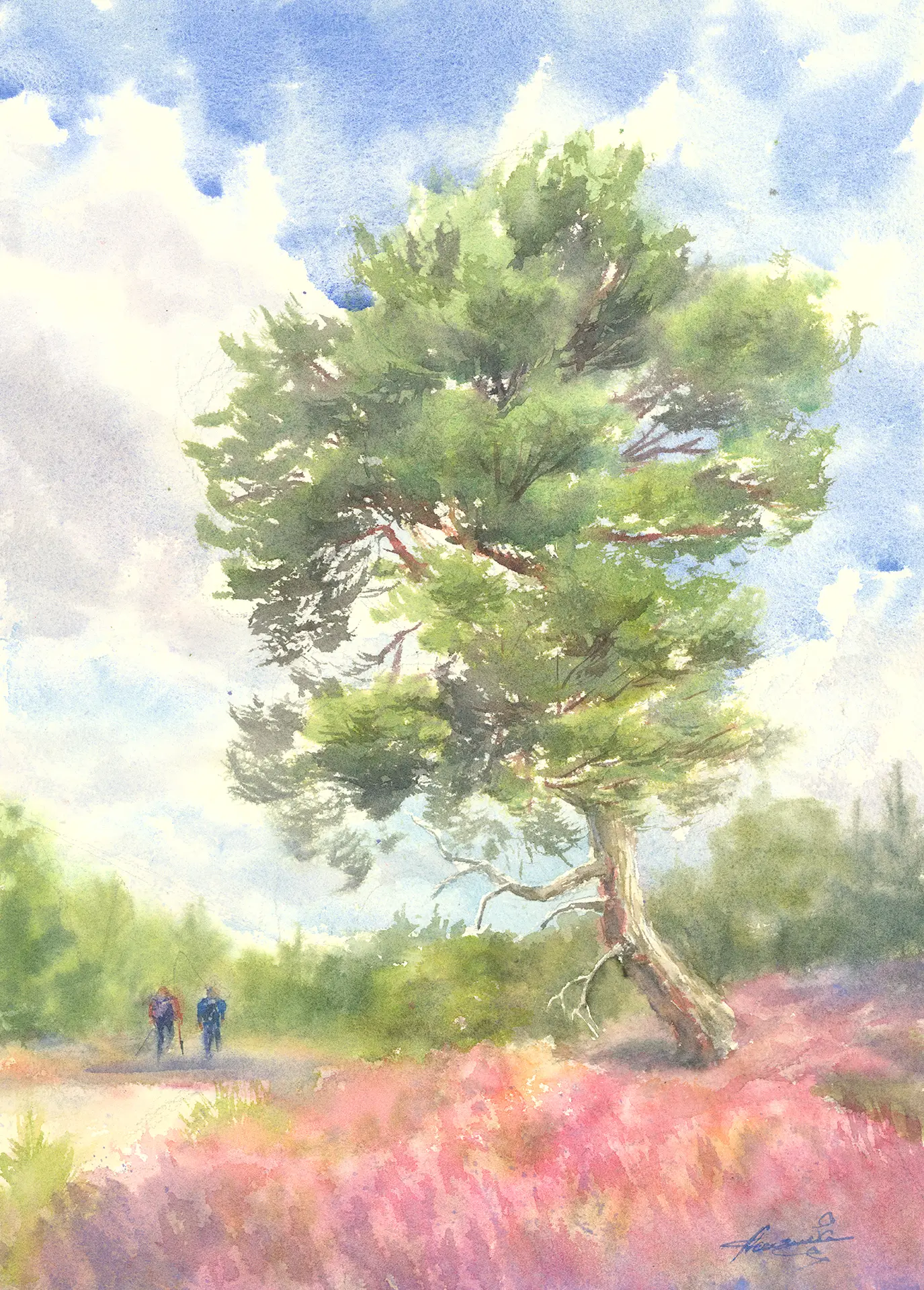 Two walkers cross a Cairngorms heath of pink heather beneath a leaning Scots pine, the path winding on under wide cumulus and the tree's shadow falling across them.