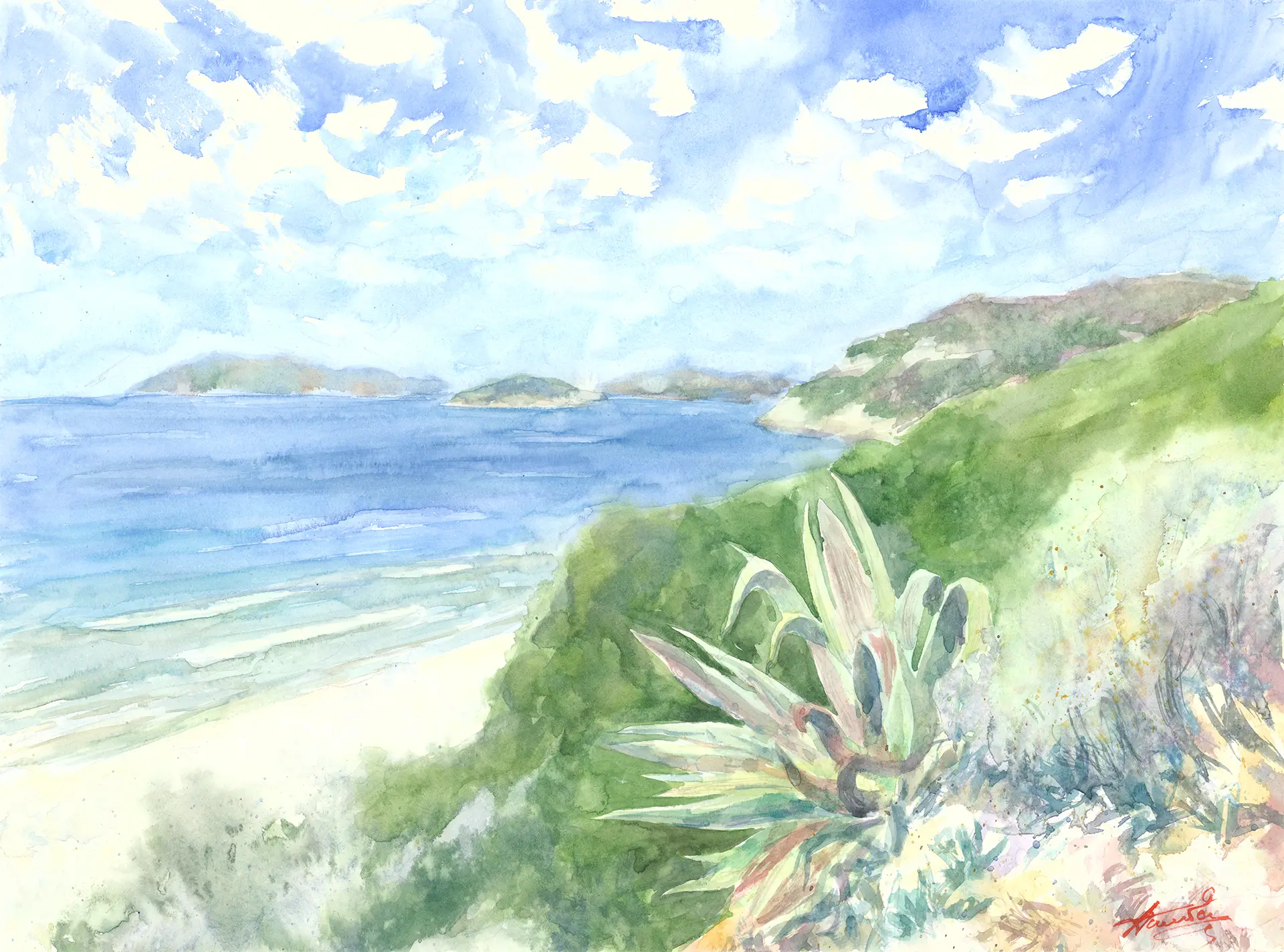 A quiet bay in Zakynthos, distant islands floating on the horizon while an aloe holds the foreground against the warm scrub of the headland.